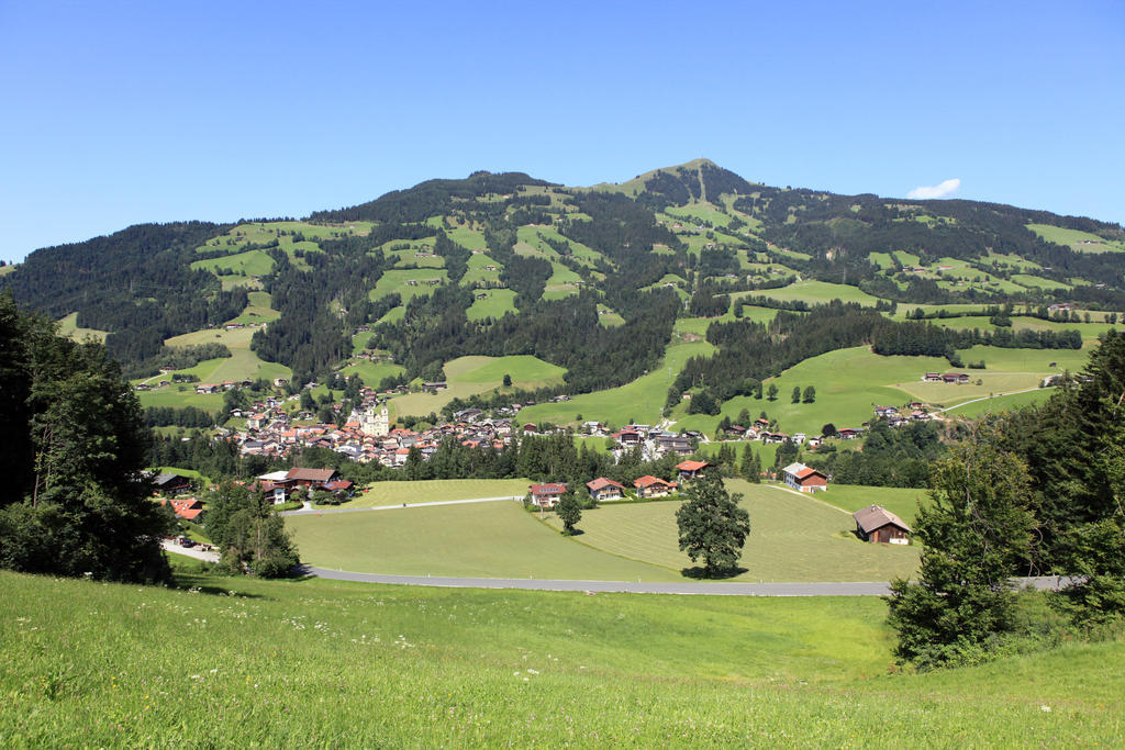Ferienhaus Hinterebenhub Hopfgarten im Brixental Exterior foto